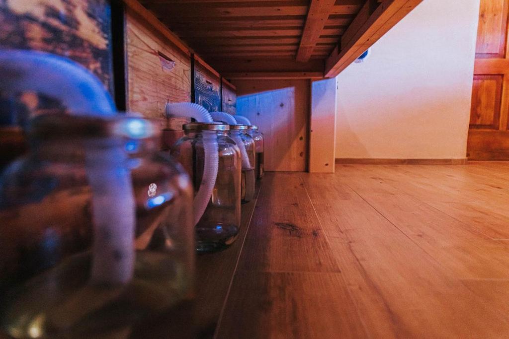 Sleeping With Bees - Tourist Farm Muha Apartment Grosuplje Bagian luar foto