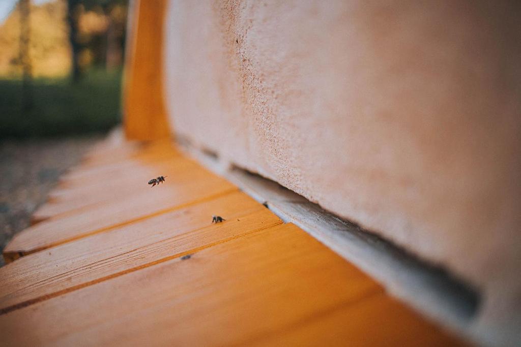 Sleeping With Bees - Tourist Farm Muha Apartment Grosuplje Bagian luar foto